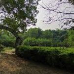 download 2026 01 03t204511.220