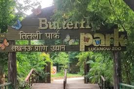 download 2026 01 04t104022.753